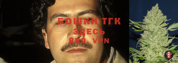 гашик Абинск