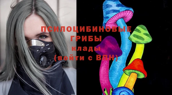 гашик Абинск